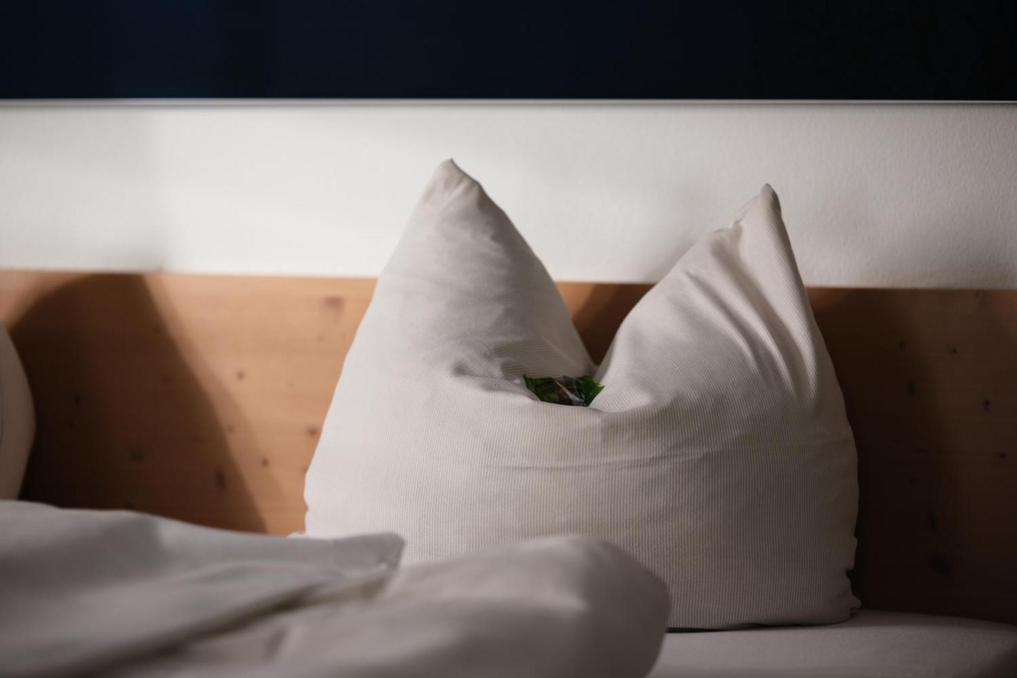 "Beim Butz" Hotel Worth an der Donau Bagian luar foto